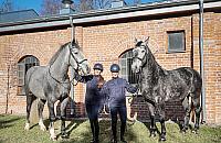 Stołeczna policja ma dwa nowe konie