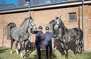 Stoeczna policja ma dwa nowe konie