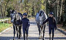 Stołeczna policja ma dwa nowe konie
