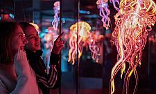 Lustra w Koperniku. Między iluzją a rzeczywistością