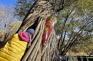 Nowa rzeźba ożywia park. Drzewo dostało drugie życie