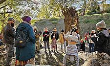 Nowa rzeźba ożywia park. Drzewo dostało drugie życie