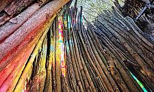 Nowa rzeźba ożywia park. Drzewo dostało drugie życie