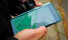 Żoliborz zatrudnił dendrologa. Już jest pierwszy "wyrok"