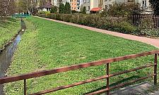 Czy Potok Bielański da się uratować? Radny walczy od lat