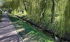 Czy Potok Bielański da się uratować? Radny walczy od lat