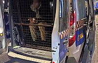 Spał przy przystanku i pachniał alkoholem. W kieszeni miał coś więcej