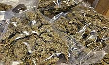 Skuteczna akcja policji. Broń, narkotyki i milion w gotówce