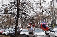 Gołąb utknął w balustradzie balkonu. Akcja ekopatrolu i straży pożarnej