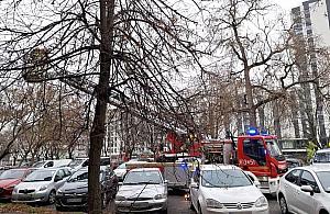 Gołąb utknął w balustradzie balkonu. Akcja ekopatrolu i straży pożarnej