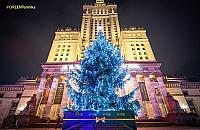 Choinka rozświetliła plac przed PKiN. Brakuje śniegu