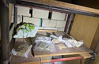 Narkotyki zamiast przetworów. 34-latek z Woli aresztowany