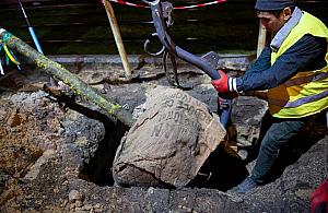 Ratusz kontynuuje zazielenianie centrum