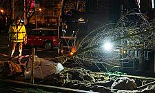 Ratusz kontynuuje zazielenianie centrum