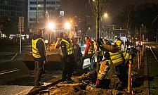 Ratusz kontynuuje zazielenianie centrum