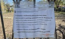 Parking widmo na Jelonkach. Czy mieszkańcy w końcu z niego skorzystają?