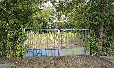 Parking widmo na Jelonkach. Czy mieszkańcy w końcu z niego skorzystają?