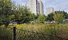 Parking widmo na Jelonkach. Czy mieszkańcy w końcu z niego skorzystają?