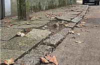 Na chodnikach Boernerowa łatwo o upadek. Czy dzielnica w końcu je naprawi?