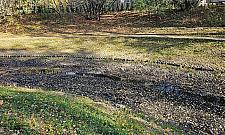 Czy śnieg mógłby uratować fosę Fortu Bema przed wyschnięciem?