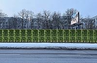 Zielony mur zamiast hałasu z Wisłostrady? Mieszkańcy Szwoleżerów mają plan