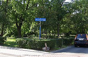 Skwer Fogga od nowa. Zielona metamorfoza przy placu Unii Lubelskiej