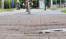 Bielany i Żoliborz zyskają kolejne asfaltowe ścieżki rowerowe?