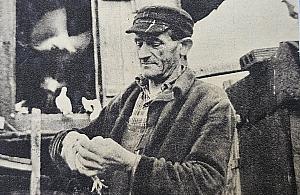 Świat gołębiarzy i małych domków. Dawno temu na Pelcowiźnie