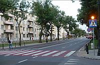 Niebezpieczna zebra przez Mickiewicza w końcu z azylem?