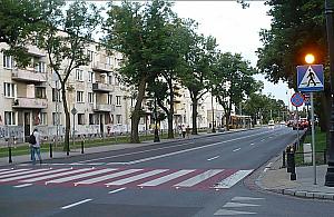 Niebezpieczna zebra przez Mickiewicza w końcu z azylem?