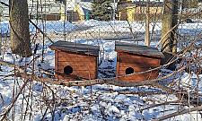 "Pokazówka" czy realna pomoc? Burza po wpisie wiceburmistrza o kotach