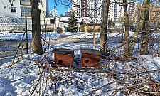 "Pokazówka" czy realna pomoc? Burza po wpisie wiceburmistrza o kotach