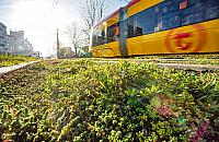 Zielone torowisko? "Najpierw remont"