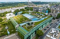 Warszawa przygotuje nowy plan adaptacji do zmian klimatu