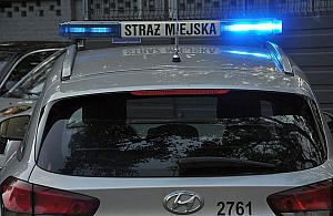 Krwawa awantura w centrum Warszawy. Strażnicy pomogli zatrzymać agresora