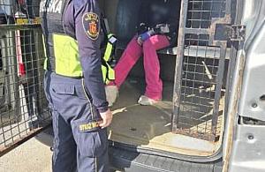 Zaginiona 17-latka odnaleziona na ławce