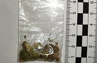 Marihuana ukryta w kuchni. 50-latek zatrzymany