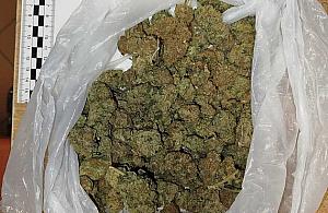 Zapach marihuany zdradził 22-latka.