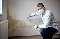 Jak skutecznie i trwale usunąć grzyb i pleśń z pomieszczenia?