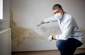 Jak skutecznie i trwale usunąć grzyb i pleśń z pomieszczenia?