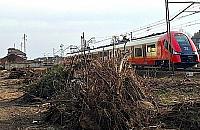 Rośnie sprzeciw wobec modernizacji linii otwockiej. Tysiące podpisów pod petycją