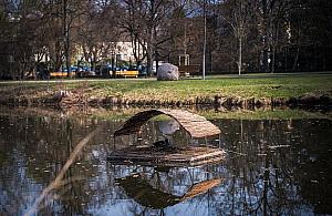 51 tratw dla ptaków na kanałach i stawach