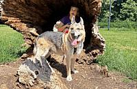 Adoptuj Warszawiaka w Parku Morskie Oko. Poznaj psy i koty ze schroniska