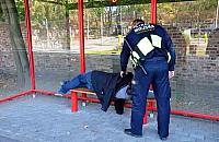 Leżał pod ławką i nie znał swojego nazwiska. Interwencja straży miejskiej