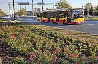 509 przyspieszy, kierowcy utkną? Nowe buspasy