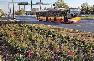 509 przyspieszy, kierowcy utkną. Nowe buspasy