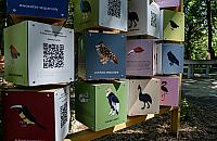 Warszawskie ZOO otwarte w święta. Sprawdź godziny i zaplanuj spacer