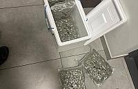 Narkotyki w przesyłce kurierskiej. Policja zatrzymała dwoje mieszkańców