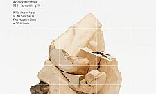 Niezwykli mieszkańcy natury i kosmosu. Nowa wystawa w Muzeum Ziemi