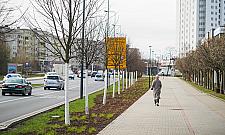 Drzewa ważniejsze niż parkingi przy szpitalu? Kontrowersje na Bródnie